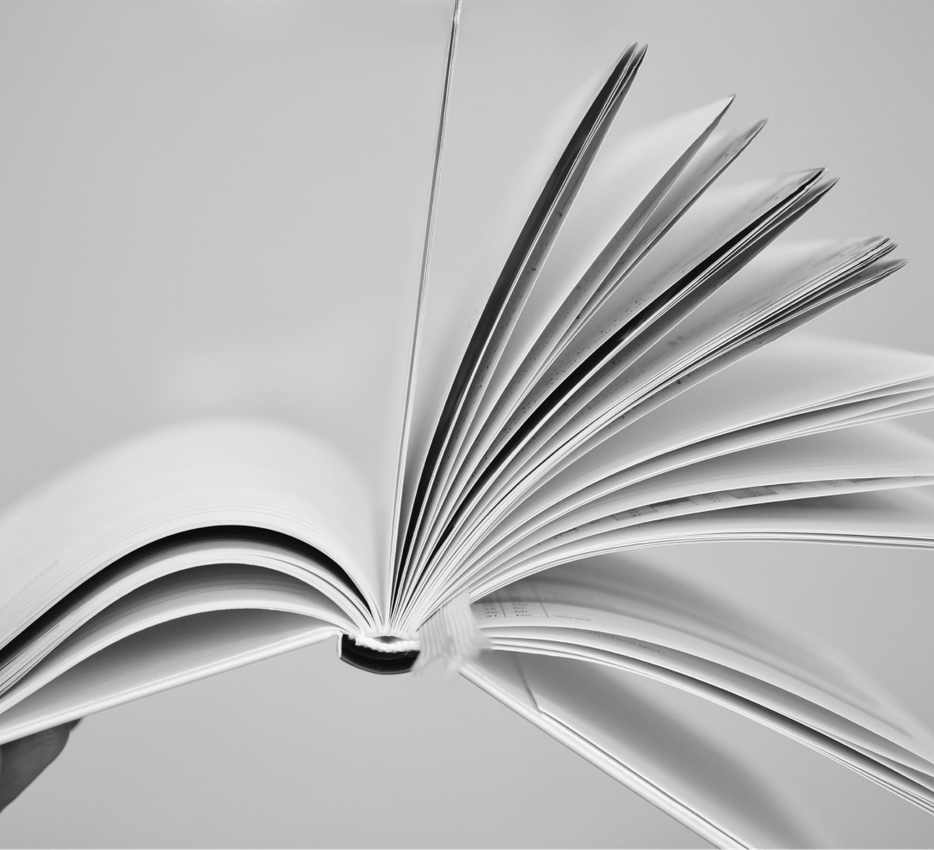 Auto generated site Spanish language school